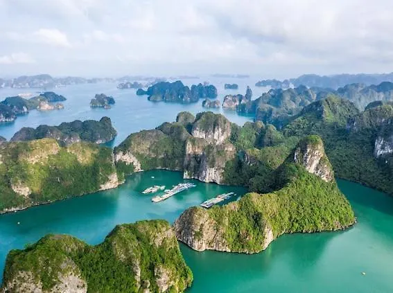 Lucasta Hạ Long